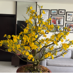 AIWS Angel and Angel Mai Vàng Festival: Human Warmth in the AI Age