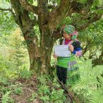 Muc Nhan Tea Essence and Tea Soul Culture for the AI Age