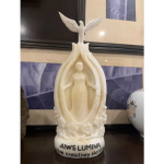 A Vietnam Navy Sailor Presents the AIWS Lumina Statue