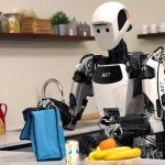 From Alphago To The Humanoid Robot