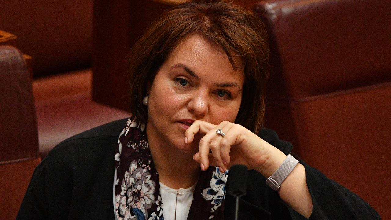 Senator Kimberley Kitching speaks at AIWS Roundtable