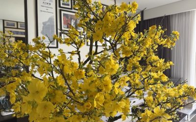 What Makes AIWS Trust Architecture Distinctive and Pioneering