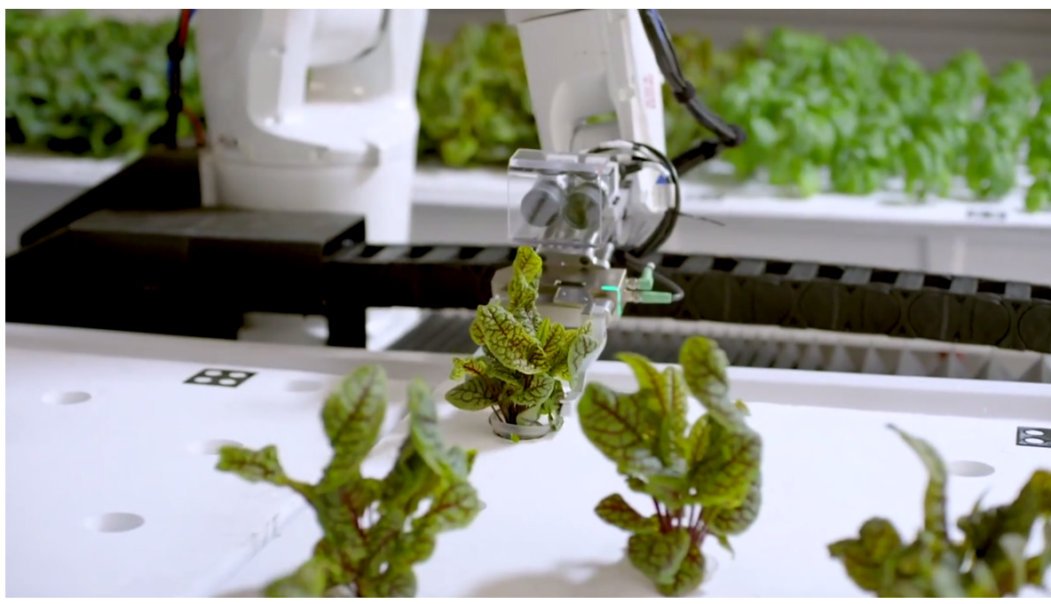 Can a robot farm operate with human workers?