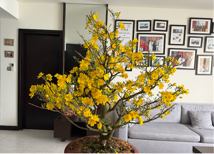 AIWS Angel and Angel Mai Vàng Festival: Human Warmth in the AI Age