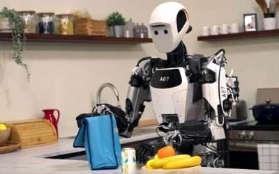 From Alphago To The Humanoid Robot