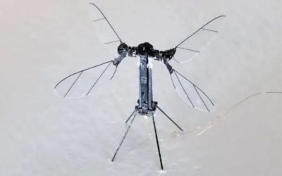 China Develops ‘Mosquito-Sized’ Surveillance Drone, Raising Concerns Over Military and Espionage Use